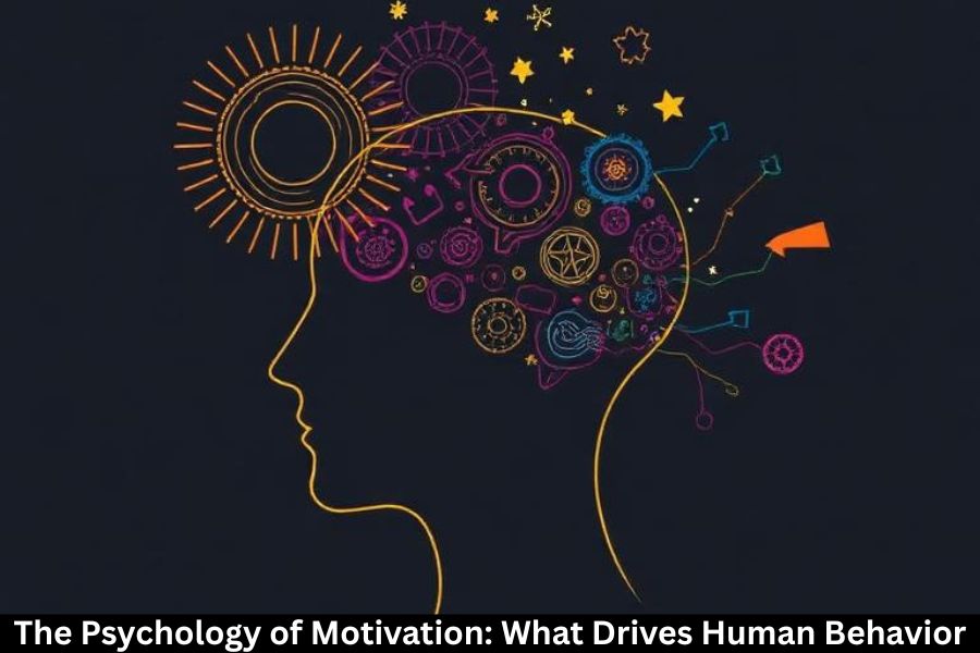 The Psychology of Motivation: What Drives Human Behavior