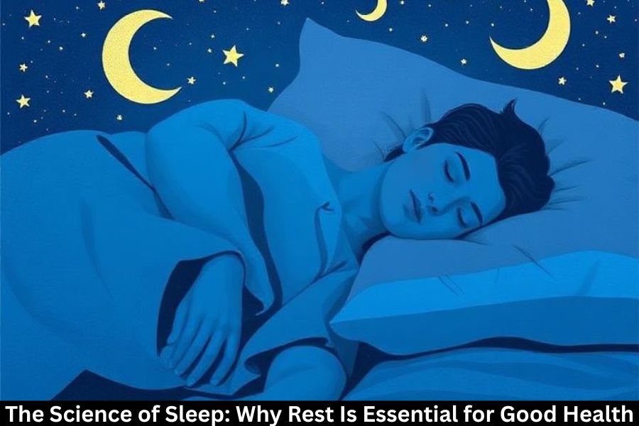 The Science of Sleep: Why Rest Is Essential for Good Health